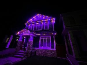 photo_6158956860670066037_y